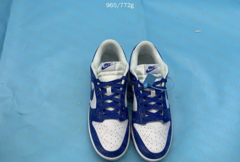 Nike Dunk Low Kentucky 4