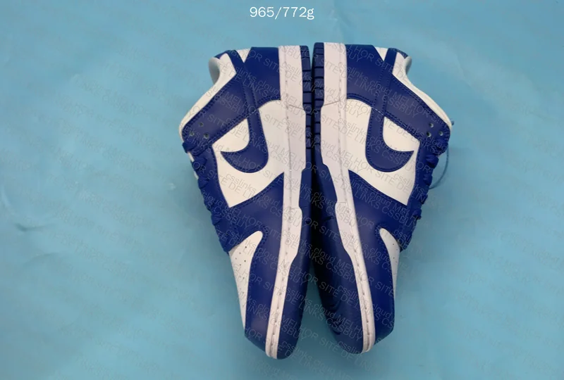 Nike Dunk Low Kentucky 5