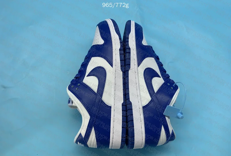 Nike Dunk Low Kentucky 6