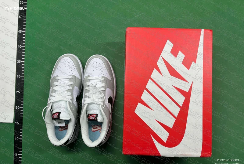 Nike Dunk Low Lottery Without Small Coin