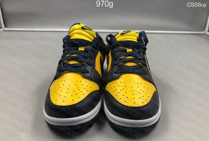 Nike Dunk Low Michigan 2