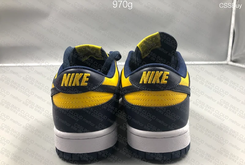 Nike Dunk Low Michigan 6