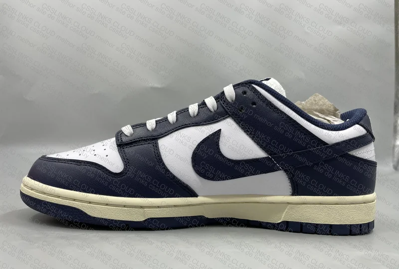 Nike Dunk Low Navy 6