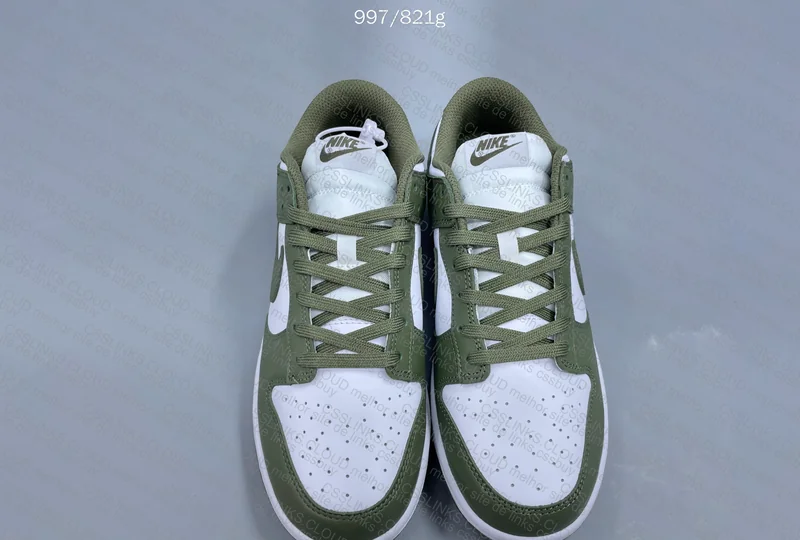 Nike Dunk Low Olive 2