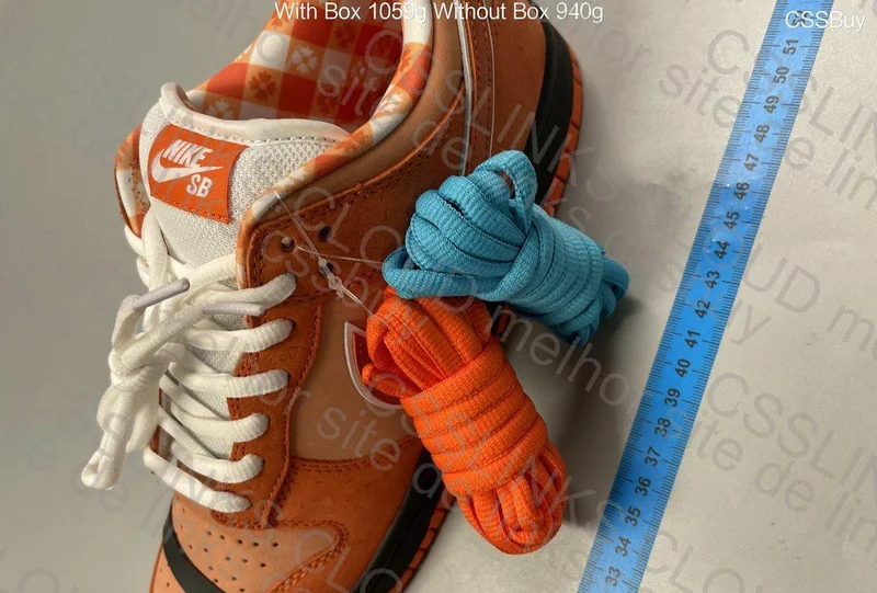 Nike Dunk Low Orange Lobster 5