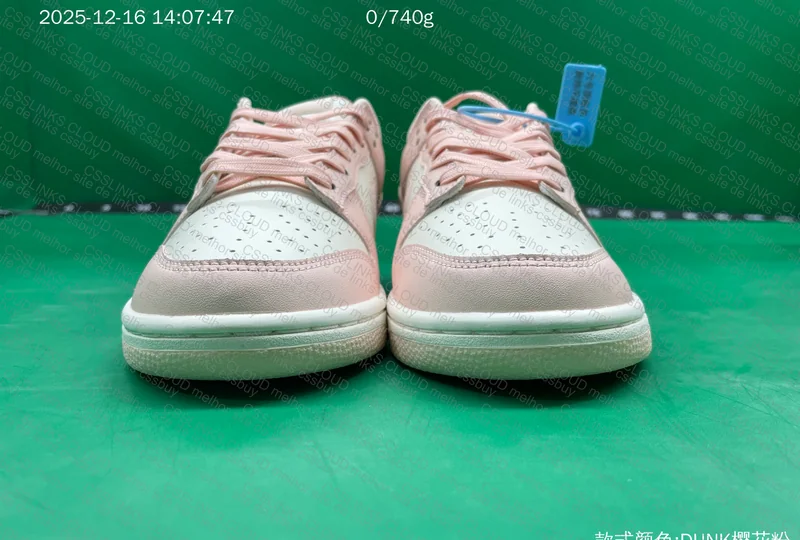 Nike Dunk Low Orange Pearl Batch New VT 7