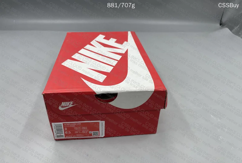 Nike Dunk Low Panda 5