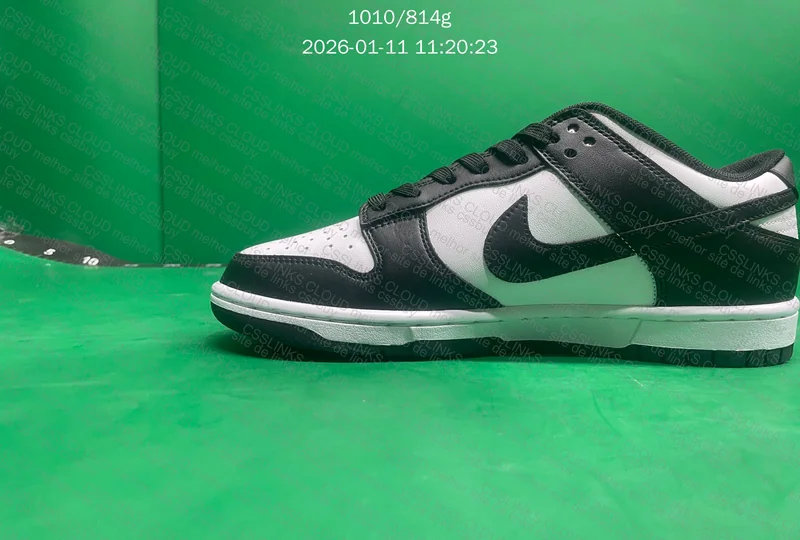 Nike Dunk Low Panda 5