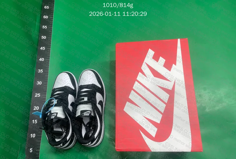 Nike Dunk Low Panda 7