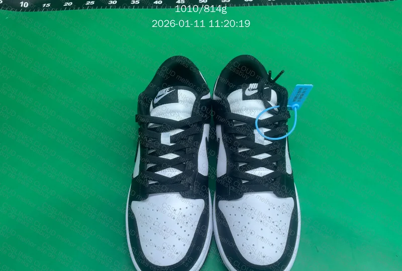 Nike Dunk Low Panda 9