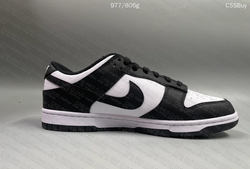 Nike Dunk Low Retro 6