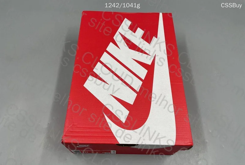 Nike Dunk Low Retro 2