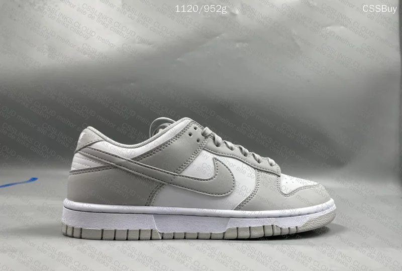 Nike Dunk Low Retro 5