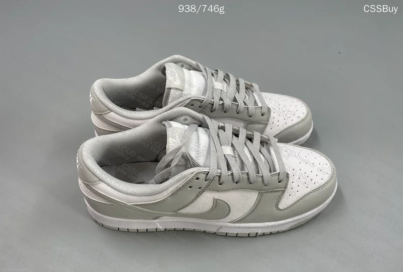 Nike Dunk Low Retro 6
