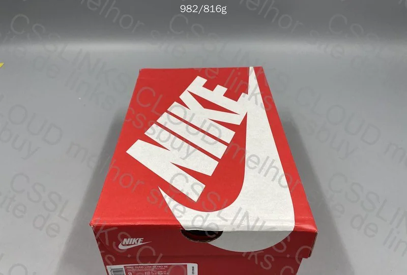 Nike Dunk Low Retro 10