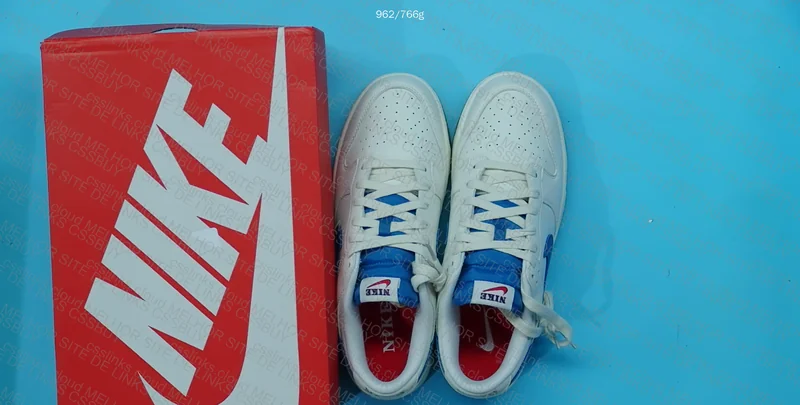 Nike Dunk Low Retro