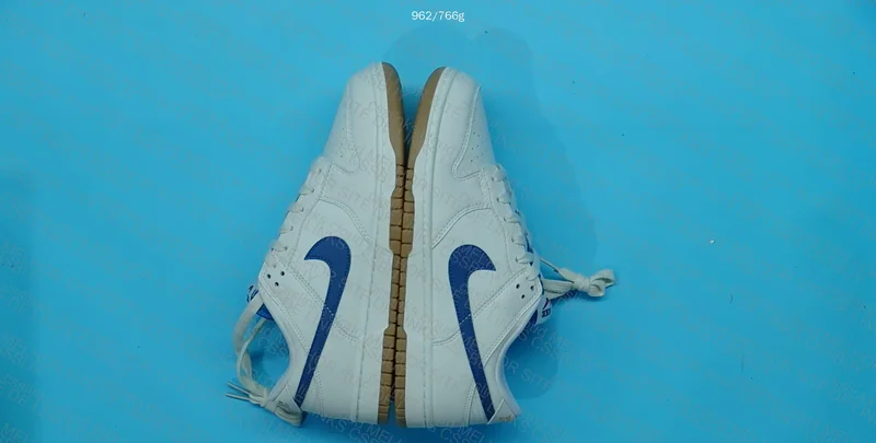 Nike Dunk Low Retro 2
