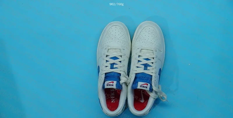Nike Dunk Low Retro 3