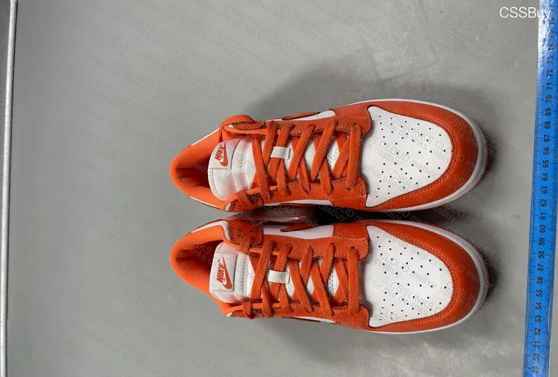 Nike Dunk Low Syracuse 6