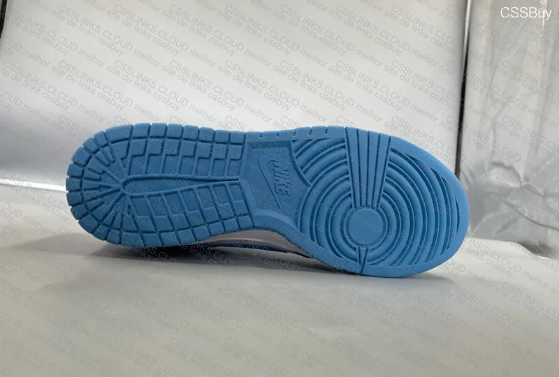 Nike Dunk Low UNC 2