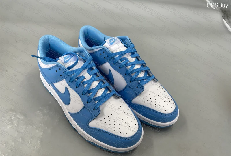 Nike Dunk Low UNC 5