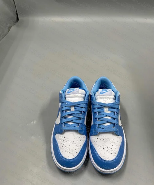 Nike Dunk Low UNC Blue 5