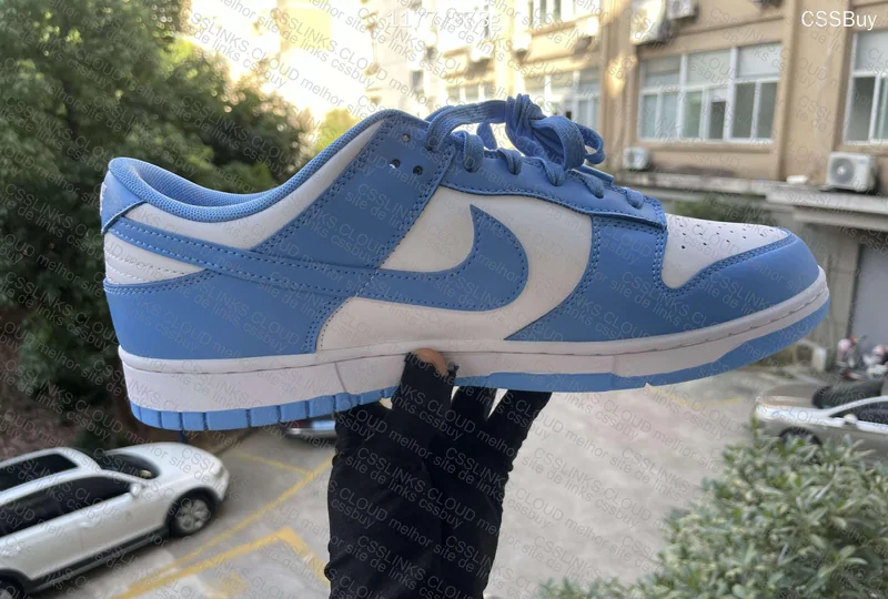 Nike Dunk Low University Blue 5