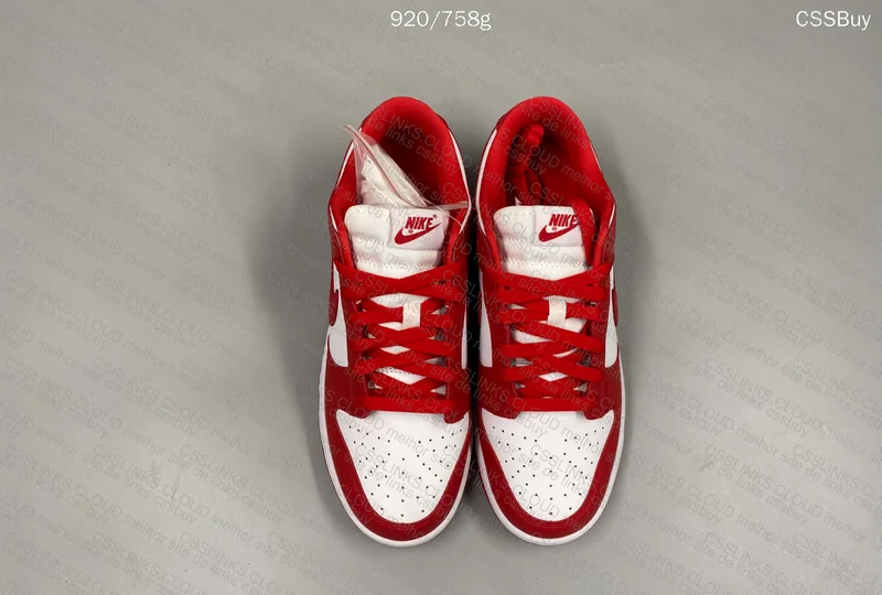 Nike Dunk Low University Red SP 6