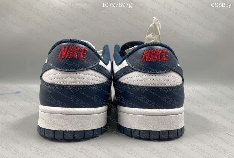 Nike Dunk Low Valerian 5