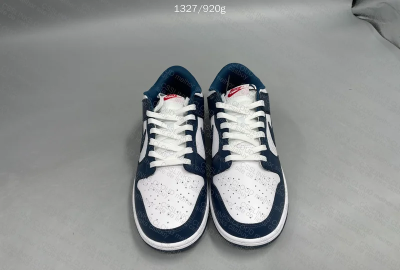 Nike Dunk Low Valerian Blue 5