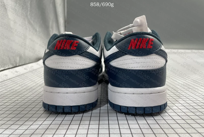 Nike Dunk Low Valerian Blue