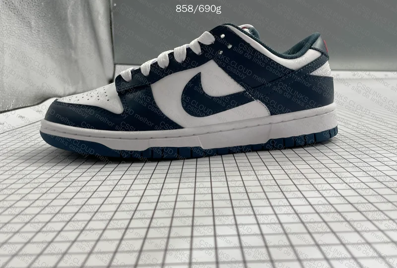 Nike Dunk Low Valerian Blue 10