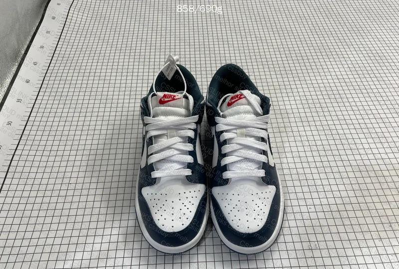 Nike Dunk Low Valerian Blue 3