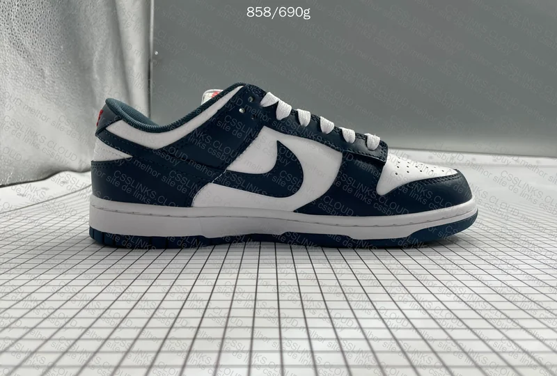 Nike Dunk Low Valerian Blue 5