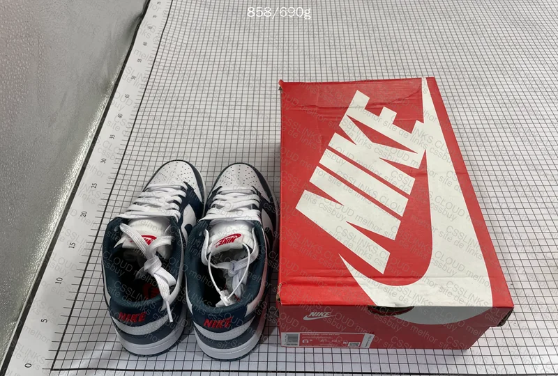 Nike Dunk Low Valerian Blue 9