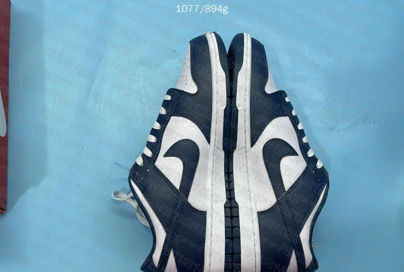 Nike Dunk low valerian blue 3