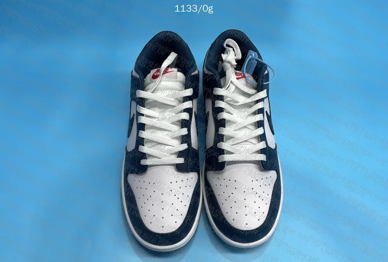 Nike Dunk Low valerian blue