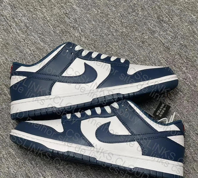 Nike Dunk Low Valerian Blue Men's