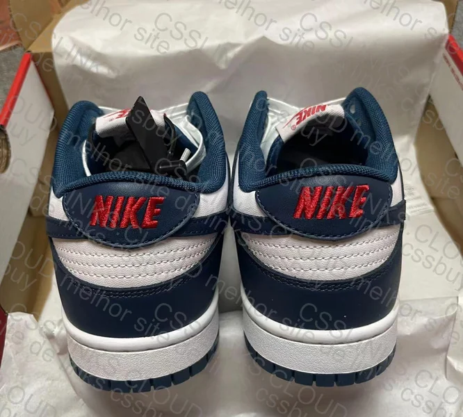 Nike Dunk Low Valerian Blue Men's 5