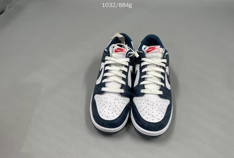 Nike Dunk Low Valerian Blue VT 2