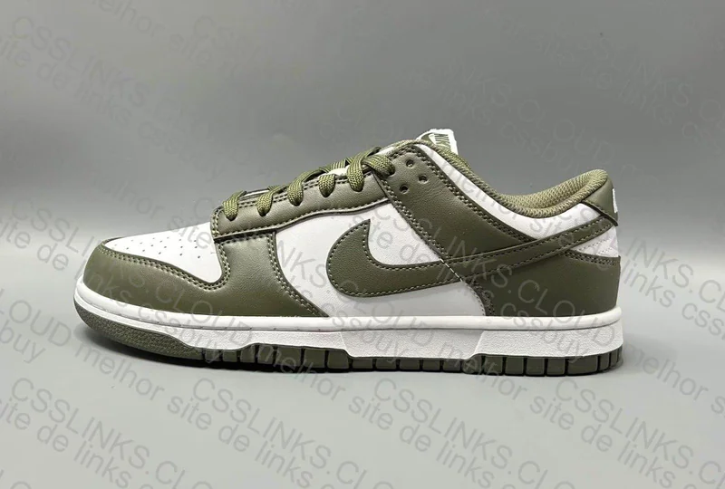 Nike dunk medium olive 3