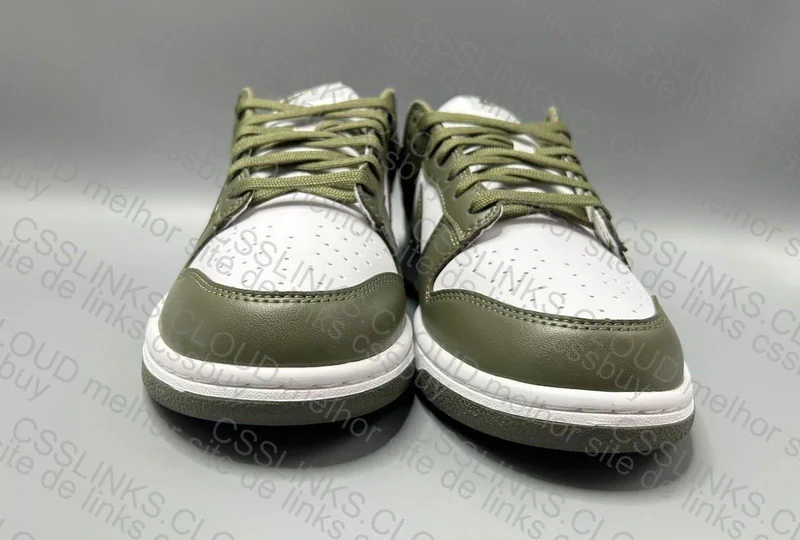 Nike dunk medium olive 7