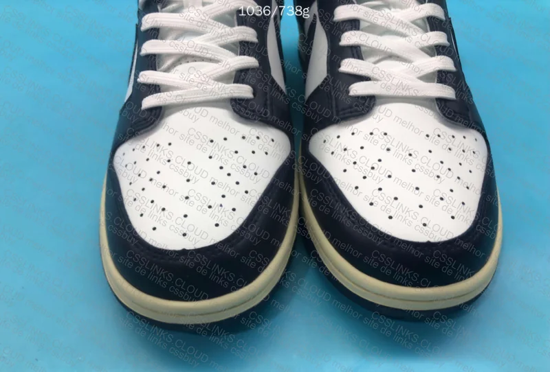 Nike Dunk Navy 3