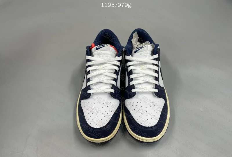Nike Dunk Navy VT 2