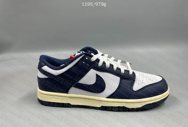 Nike Dunk Navy VT 5