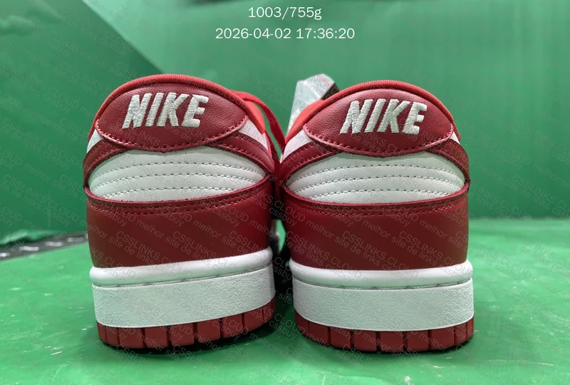 Nike Dunk New Vt 3