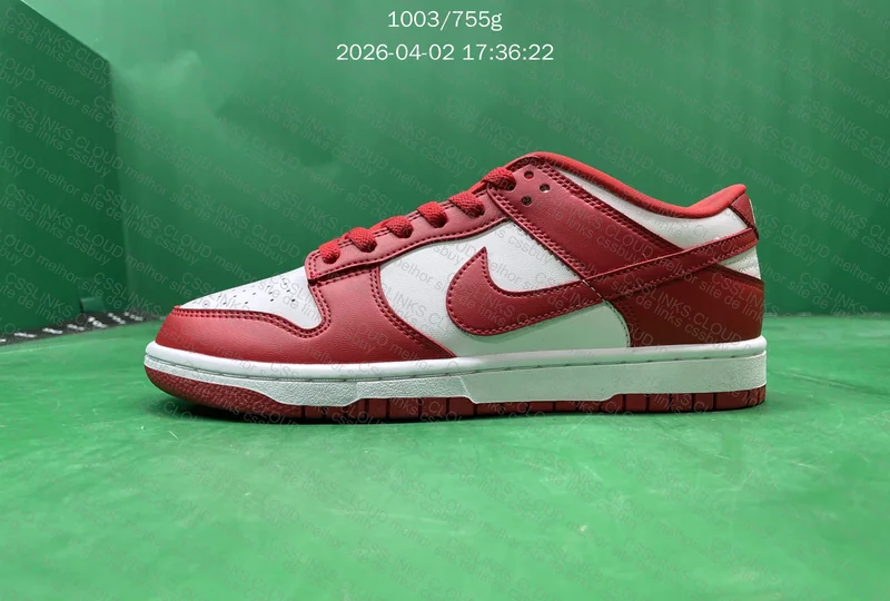 Nike Dunk New Vt 5