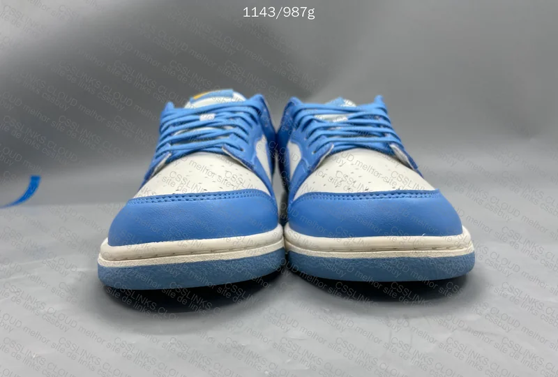 Nike Dunk - North Carolina Blue DD1503-100 2