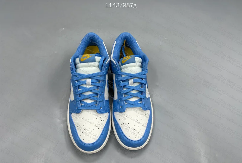 Nike Dunk - North Carolina Blue DD1503-100 4