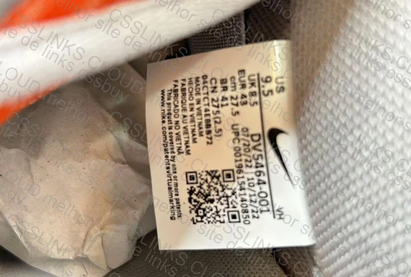 Nike Dunk OVO 10